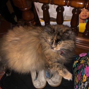 Meet your Posher, Alexandra